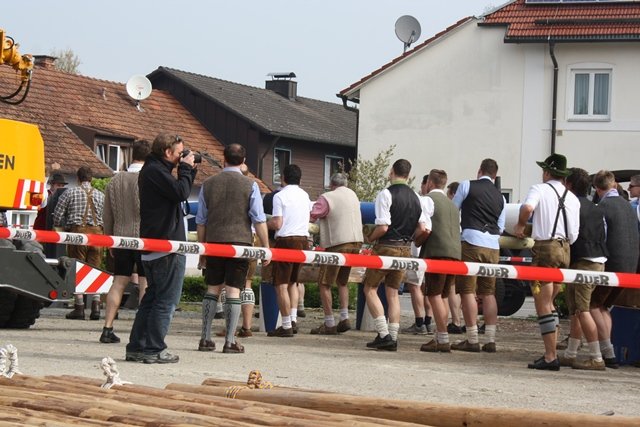 Maibaum 2013